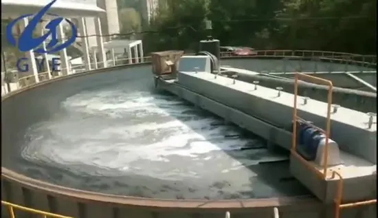 湖水処理用の高い藻類除去率の浅いDaf溶存空気浮遊選鉱